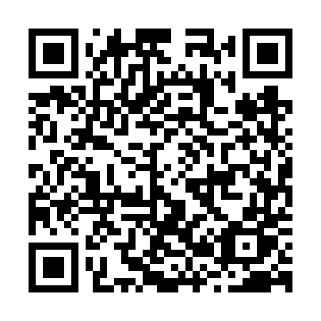 QR code for plate B25 6TP