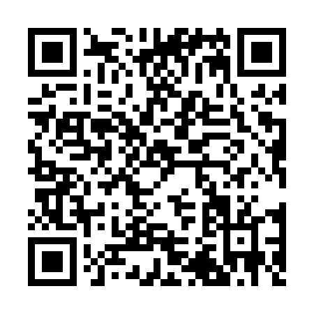 QR code for B290T