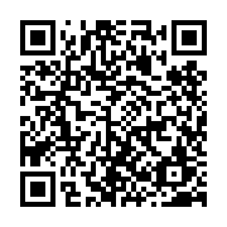 QR code for plate B29 4KV