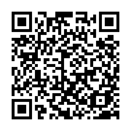 QR code for B295MA