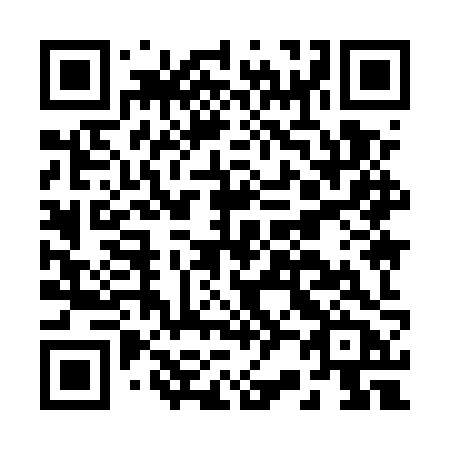 QR code for B295ZB