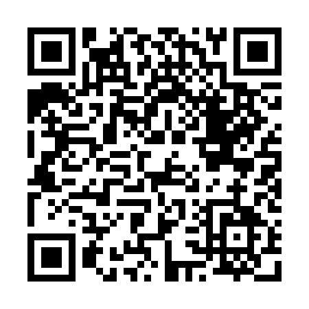 QR code for B313A