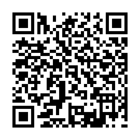 QR code for B313T