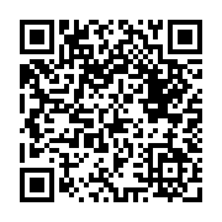 QR code for B333O