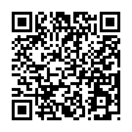 QR code for B335H