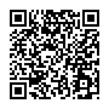 QR code for B381Q
