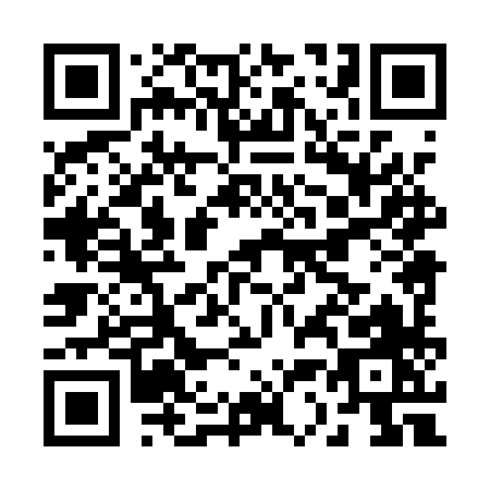 QR code for B381X