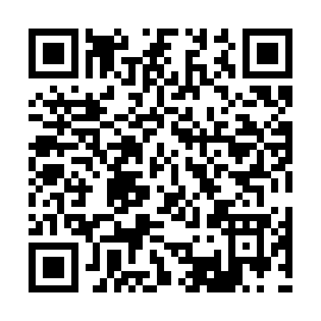 QR code for B383G