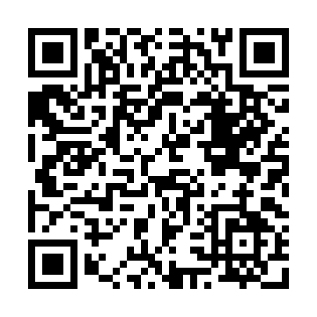 QR code for B383I