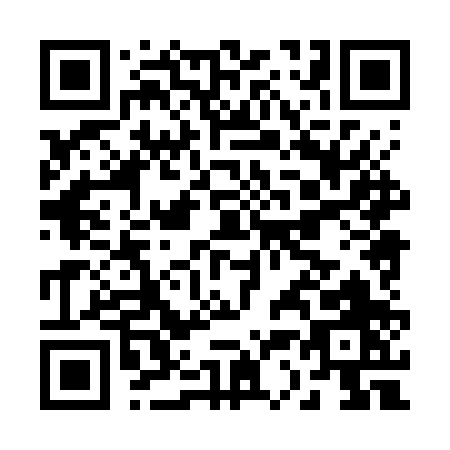QR code for B387P