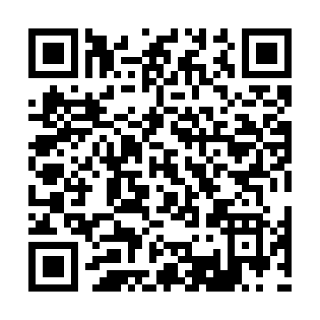 QR code for B387Z