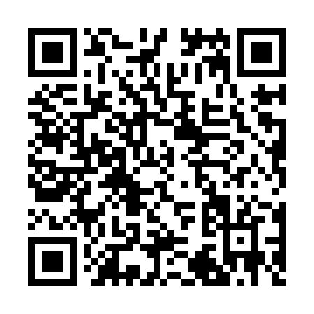 QR code for B389Z