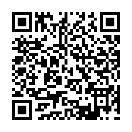 QR code for B393Q