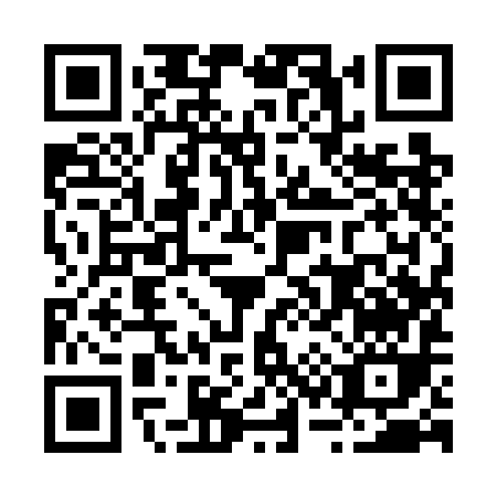 QR code for B397I