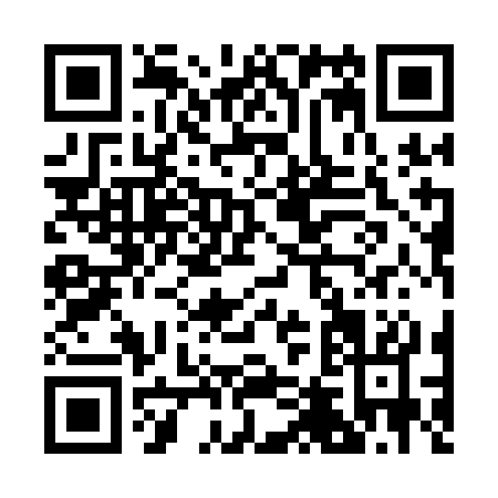 QR code for B411C