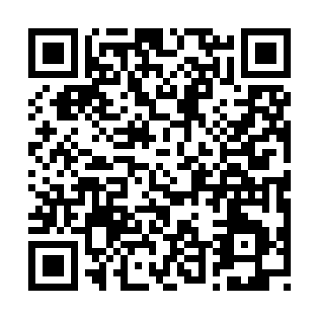 QR code for B419G