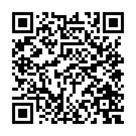 QR code for B419P
