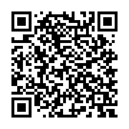 QR code for plate B45 2LQ