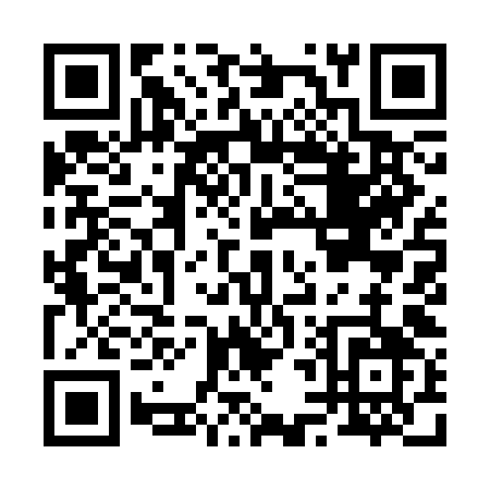 QR code for B493K