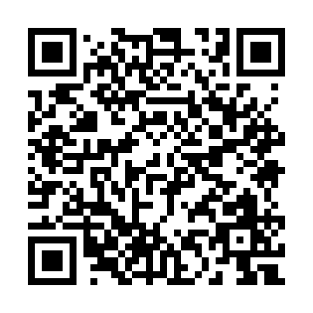 QR code for B493Q