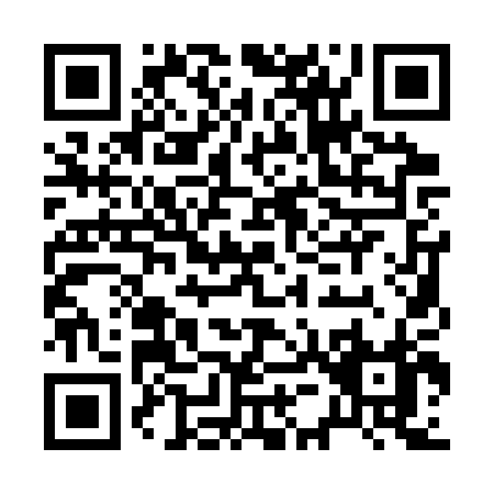 QR code for B513P