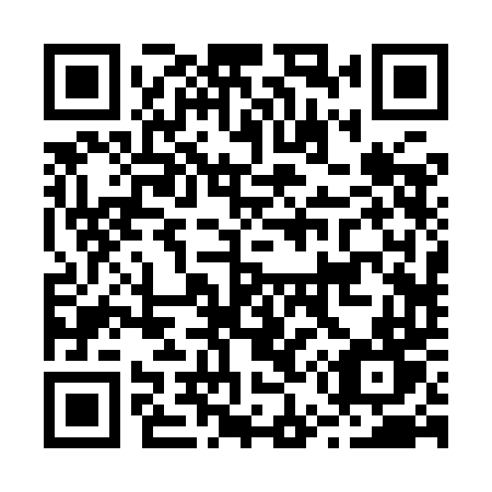 QR code for B529DT