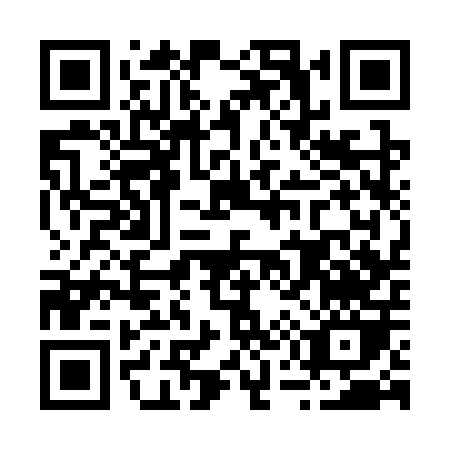 QR code for B533P