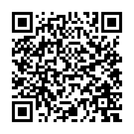 QR code for B729W
