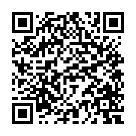 QR code for B737X