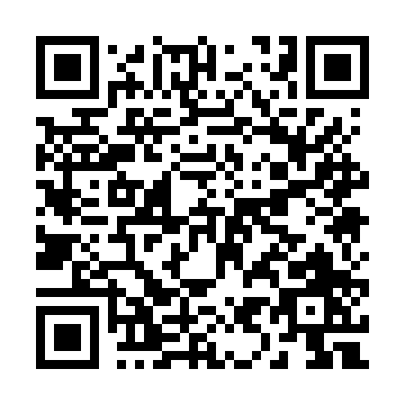 QR code for B916P
