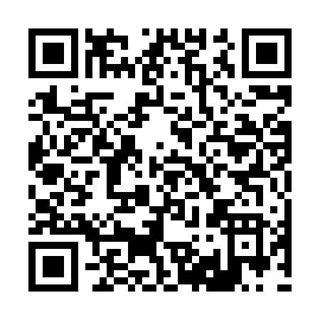 QR code for B918V