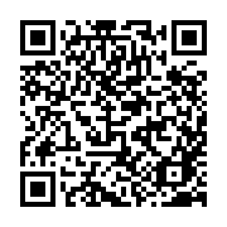 QR code for B919HC