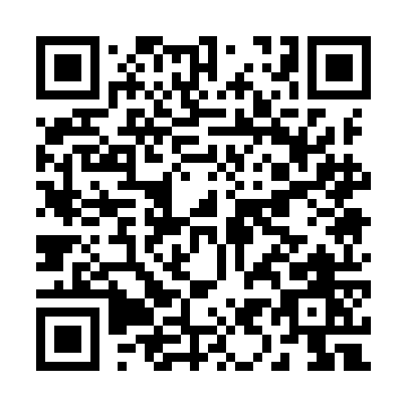 QR code for B919O