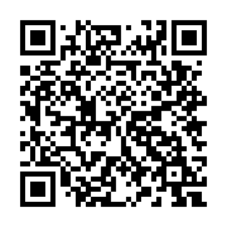 QR code for plate B95 5SM