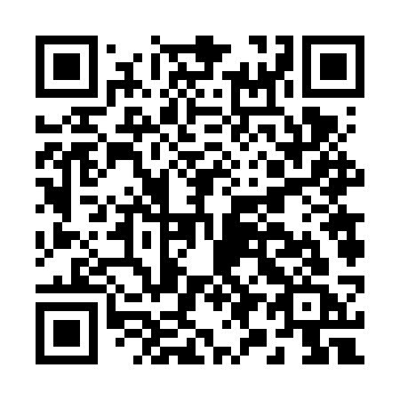 QR code for B966SC