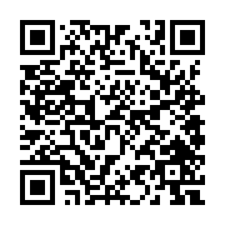 QR code for B969T