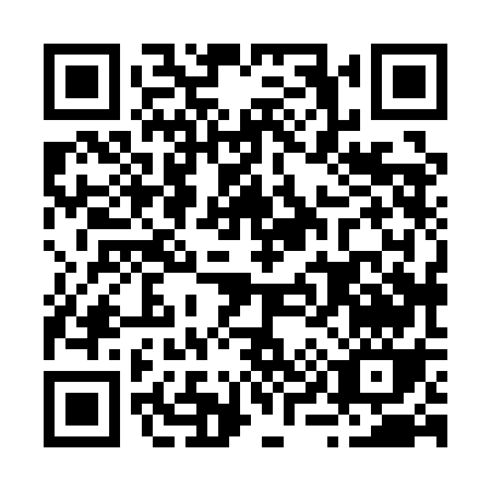 QR code for B981G