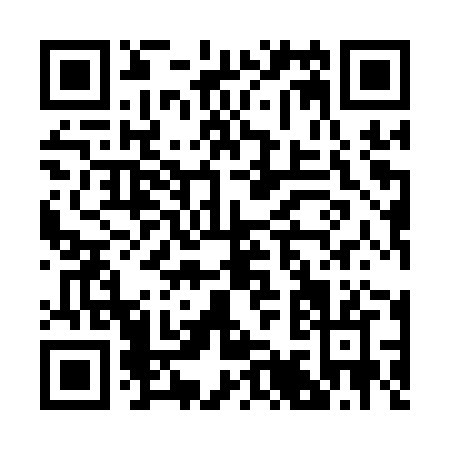 QR code for B991Z