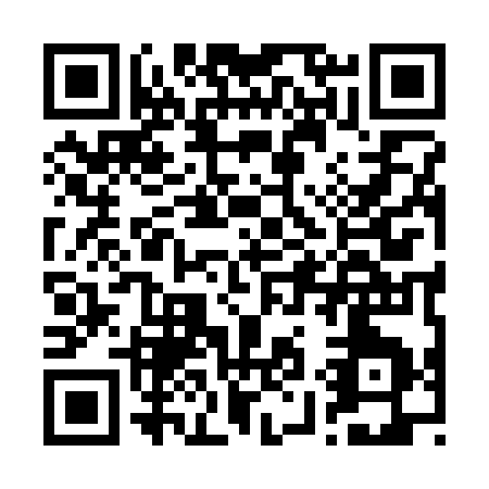 QR code for B993S
