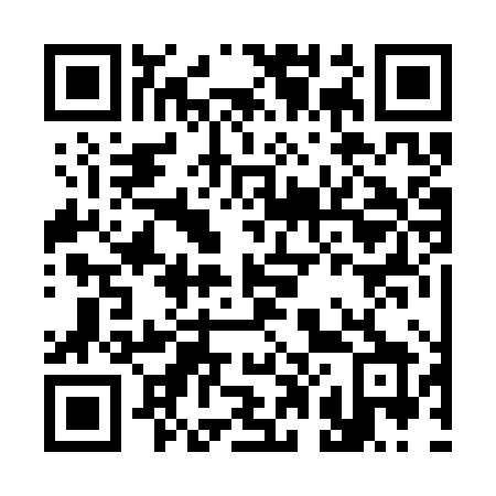 QR code for plate C02 3XX