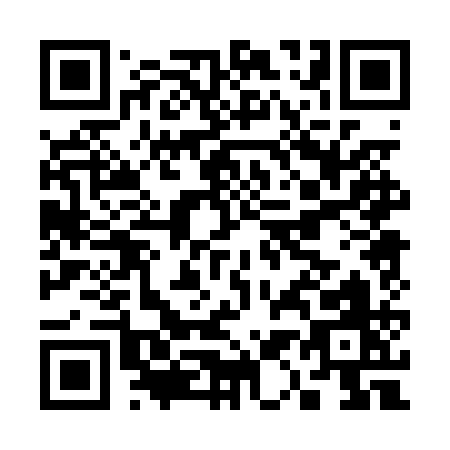 QR code for C100Q