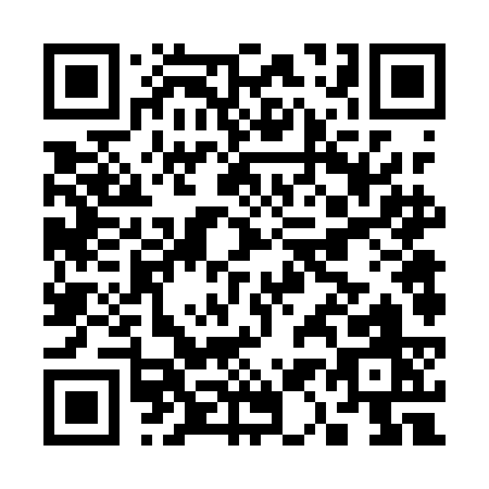 QR code for C161C