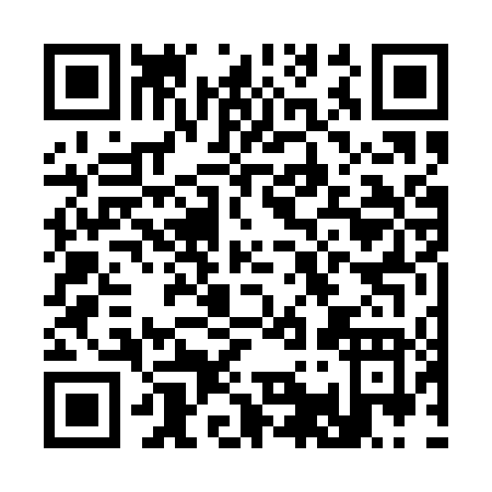 QR code for C161T