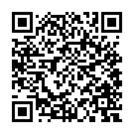 QR code for C161U