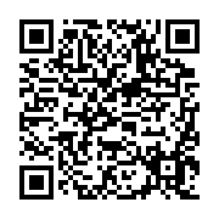 QR code for C163T