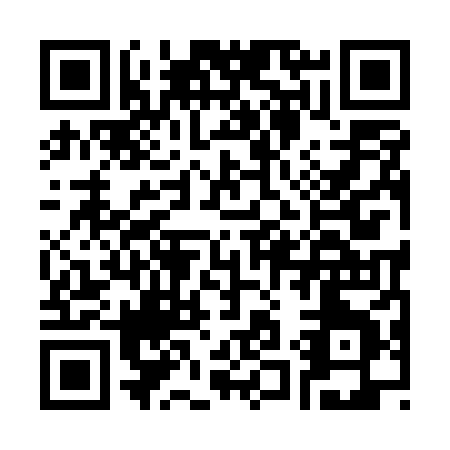 QR code for C195X