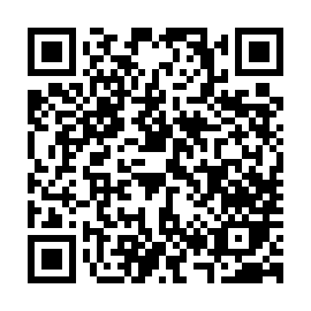 QR code for C225H