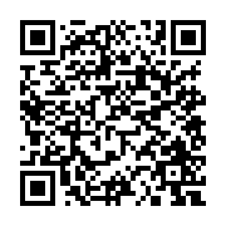 QR code for C228J
