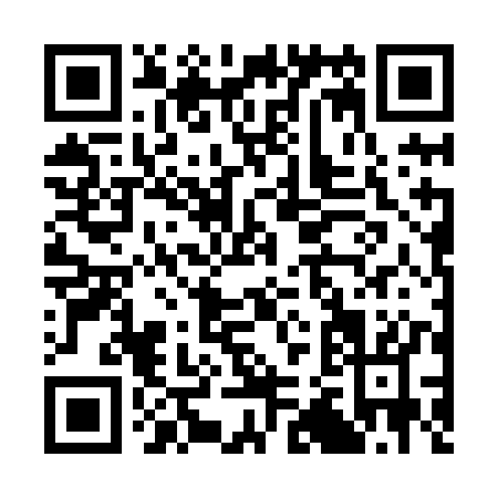 QR code for C228K