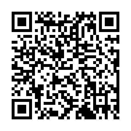 QR code for C238H